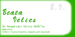 beata velics business card